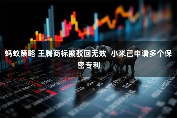 蚂蚁策略 王腾商标被驳回无效  小米已申请多个保密专利