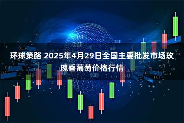 环球策路 2025年4月29日全国主要批发市场玫瑰香葡萄价格行情